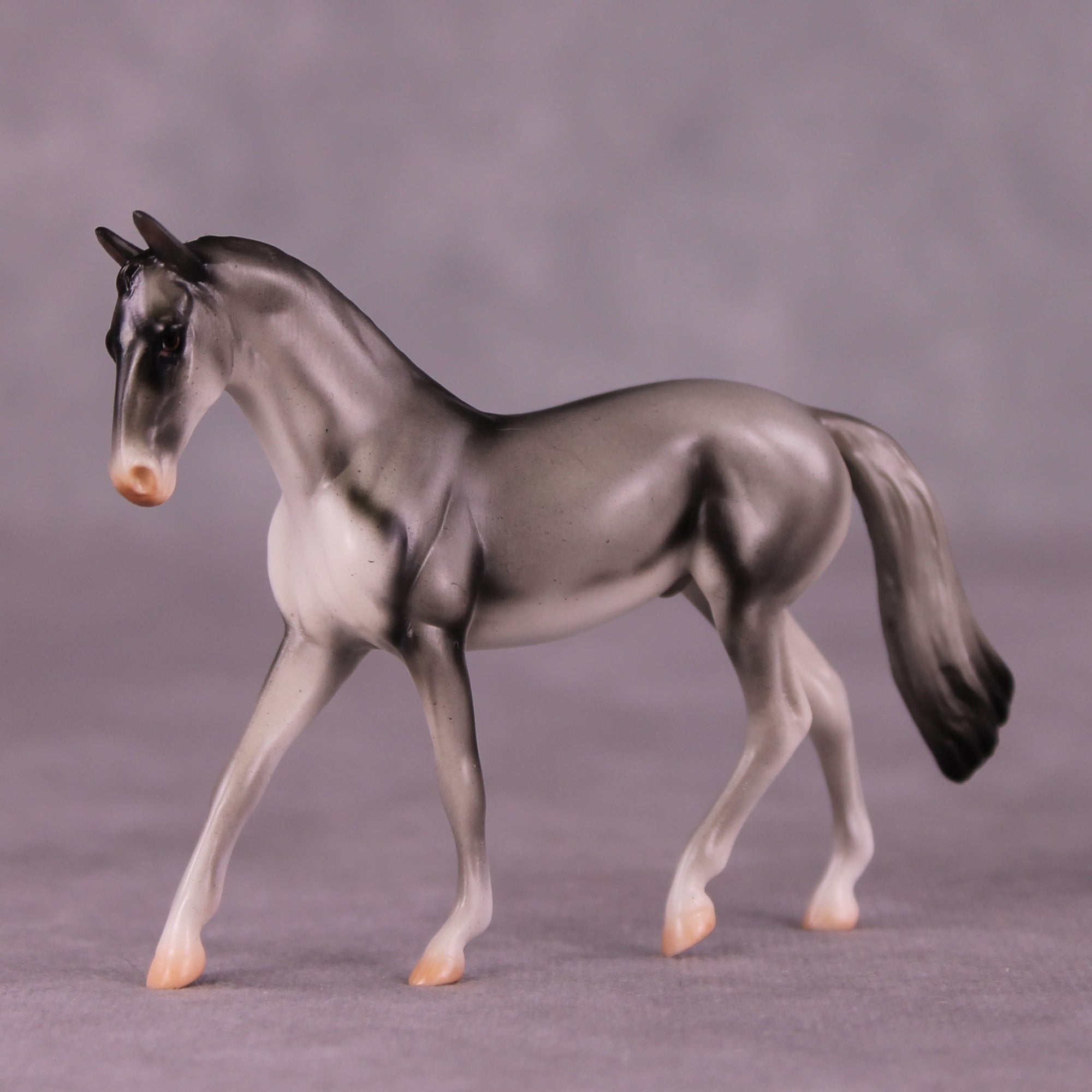 "Coonawarra" OOAK Warmblood Chip by Jess Hamill MS25