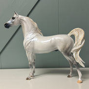 SAMPLE Bianco Nel Blu LE-30 Run Dappled Grey with Gold Accented Mane Custom Arabian By Carrie Keller  EQ24 Based on AotH Entry Digital Art From Zoja Makovec SS0826