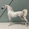 Bianco nel blu LE-30 Run Dappled Grey with Gold Accented Mane Custom Arabian By Carrie Keller  EQ24 Based on AotH Entry Digital Art From Zoja Makovec