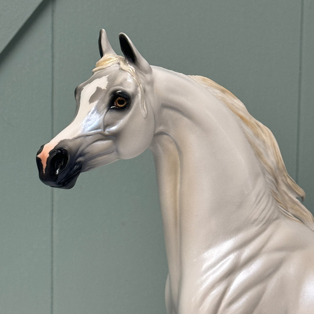 SAMPLE Bianco Nel Blu LE-30 Run Dappled Grey with Gold Accented Mane Custom Arabian By Carrie Keller  EQ24 Based on AotH Entry Digital Art From Zoja Makovec SS0826