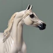 SAMPLE Bianco Nel Blu LE-30 Run Dappled Grey with Gold Accented Mane Custom Arabian By Carrie Keller  EQ24 Based on AotH Entry Digital Art From Zoja Makovec SS0826