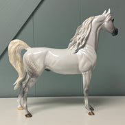 SAMPLE Bianco Nel Blu LE-30 Run Dappled Grey with Gold Accented Mane Custom Arabian By Carrie Keller  EQ24 Based on AotH Entry Digital Art From Zoja Makovec SS0826