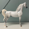 Bianco nel blu LE-30 Run Dappled Grey with Gold Accented Mane Custom Arabian By Carrie Keller  EQ24 Based on AotH Entry Digital Art From Zoja Makovec