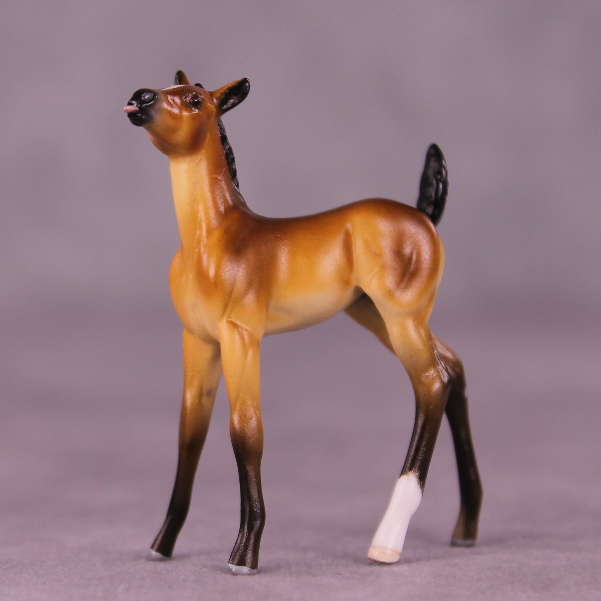 Sassafrass OOAK FCM Chip Foal by Tiffany Purdy GS925