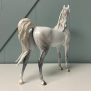 SAMPLE Bianco Nel Blu LE-30 Run Dappled Grey with Gold Accented Mane Custom Arabian By Carrie Keller  EQ24 Based on AotH Entry Digital Art From Zoja Makovec SS0826