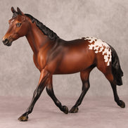 Candle In The Window OOAK Bay Appaloosa Custom Palouse By Ellen Robbins HS24