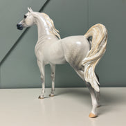 SAMPLE Bianco Nel Blu LE-30 Run Dappled Grey with Gold Accented Mane Custom Arabian By Carrie Keller  EQ24 Based on AotH Entry Digital Art From Zoja Makovec SS0826