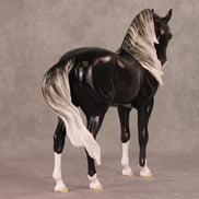 Northwind OOAK Holochromatic Dapple Silver Andalusian By Ellen Robbins HS24