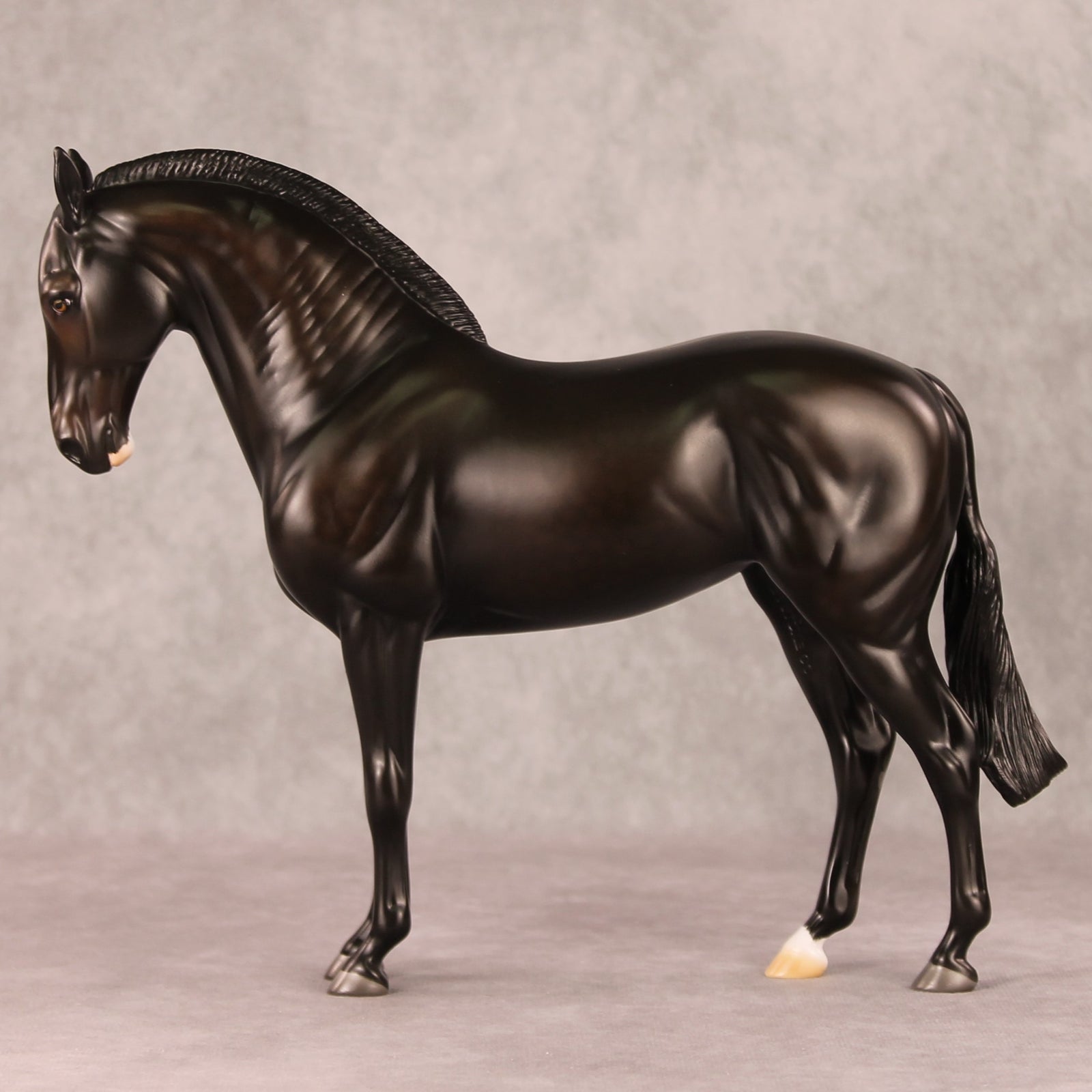 Kahlua OOAK Dappled Sunburnt Black Andalusian Mare By Ashley Palmer HS24