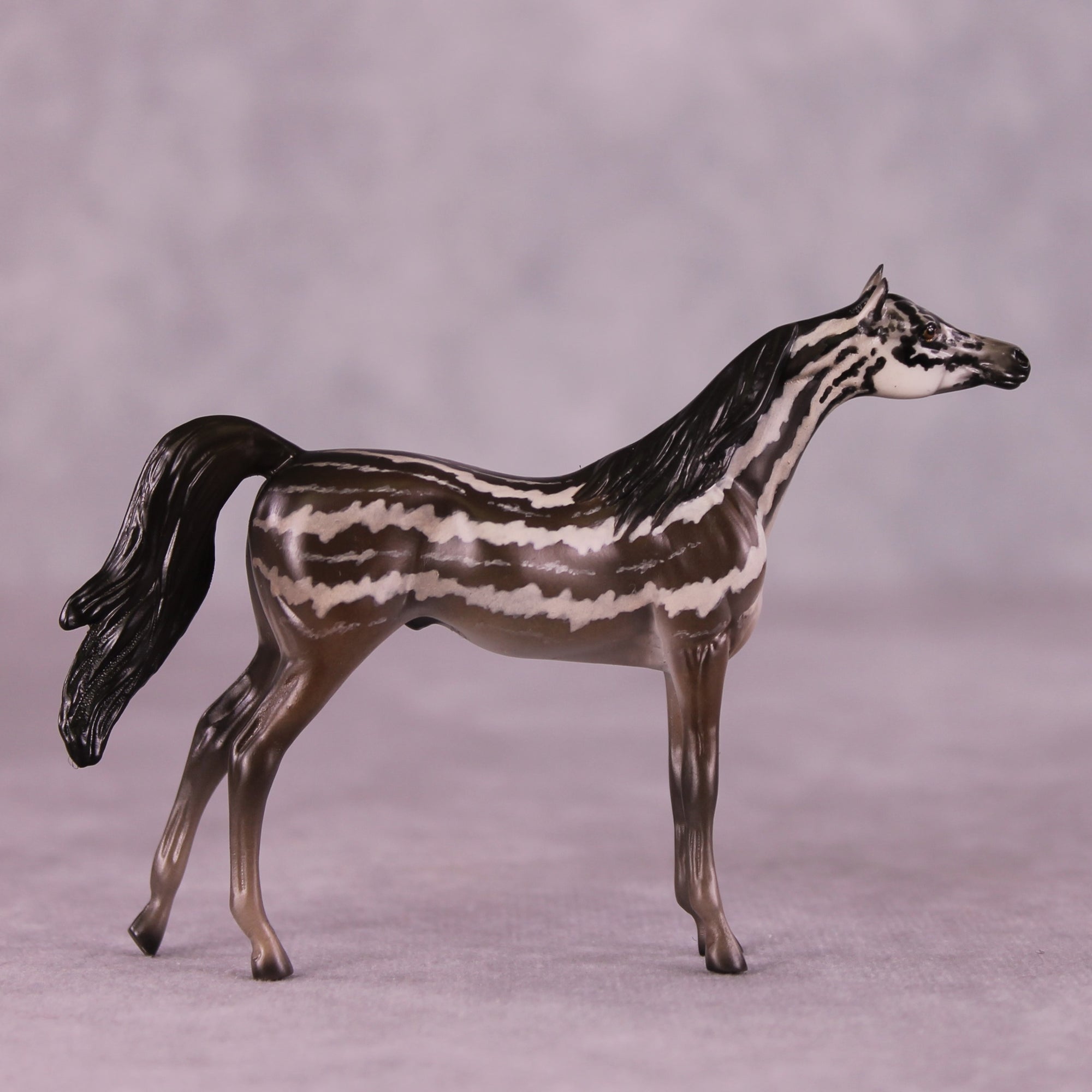 "Carinya" OOAK Arabian Chip by Jess Hamill MS25