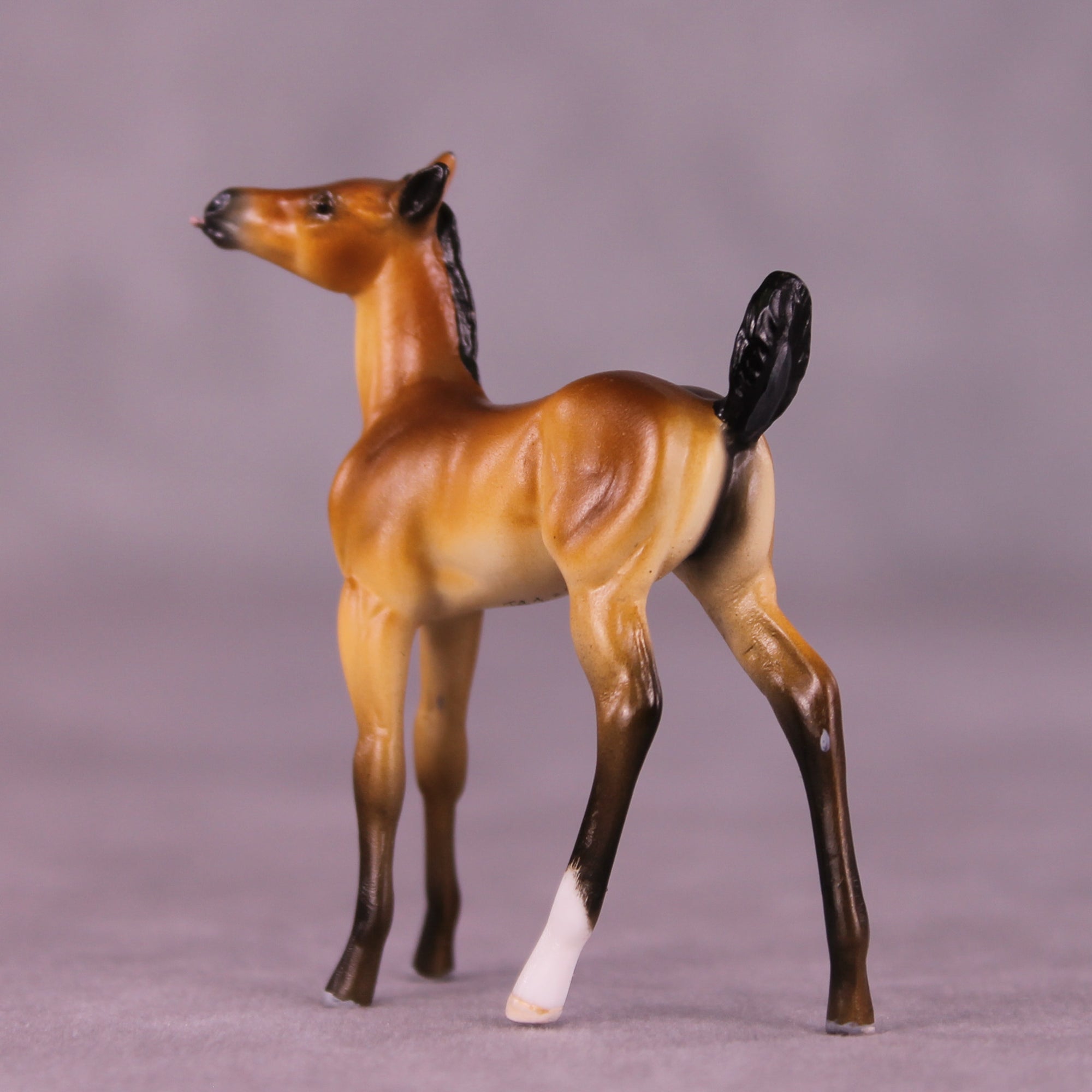 Sassafrass OOAK FCM Chip Foal by Tiffany Purdy GS925