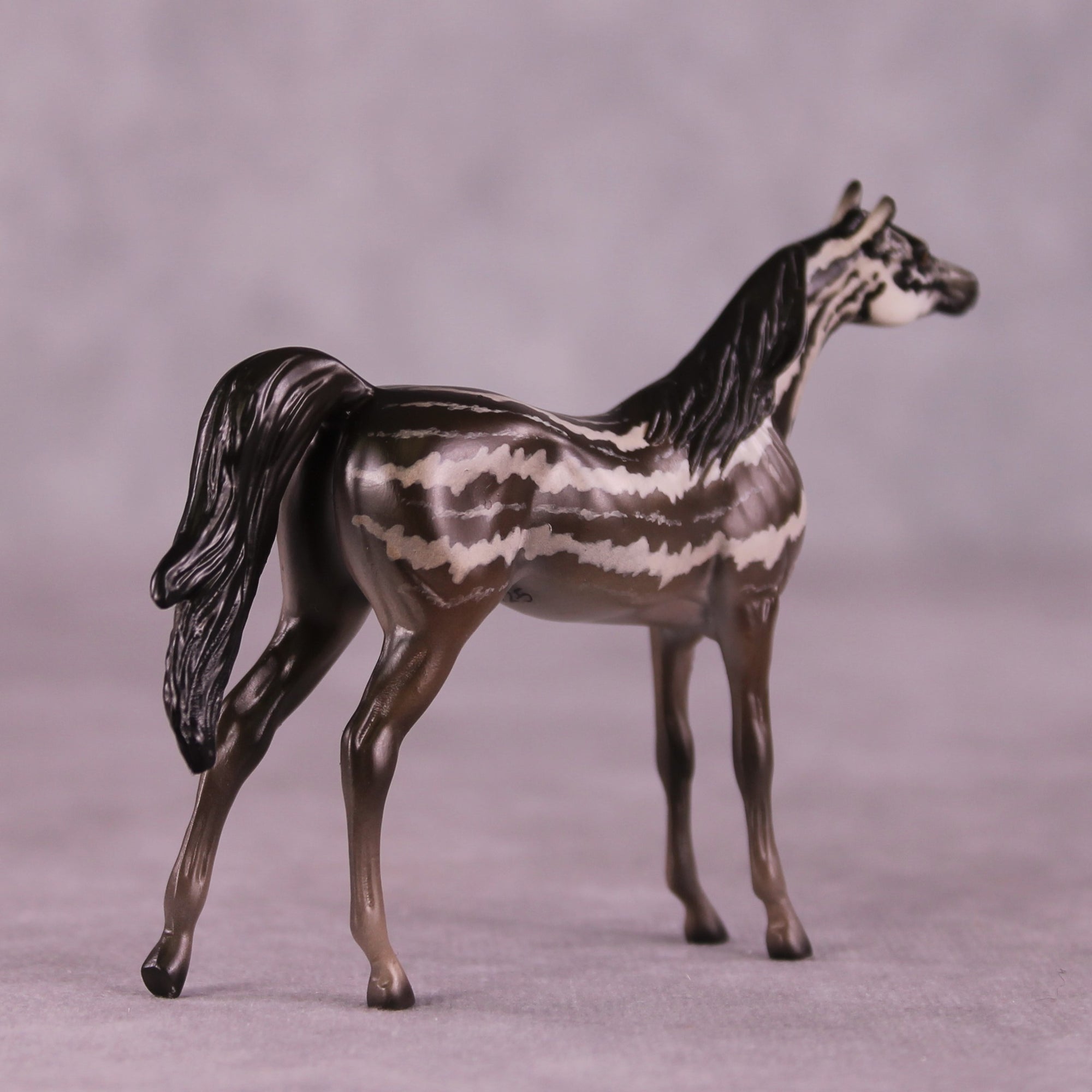 "Carinya" OOAK Arabian Chip by Jess Hamill MS25