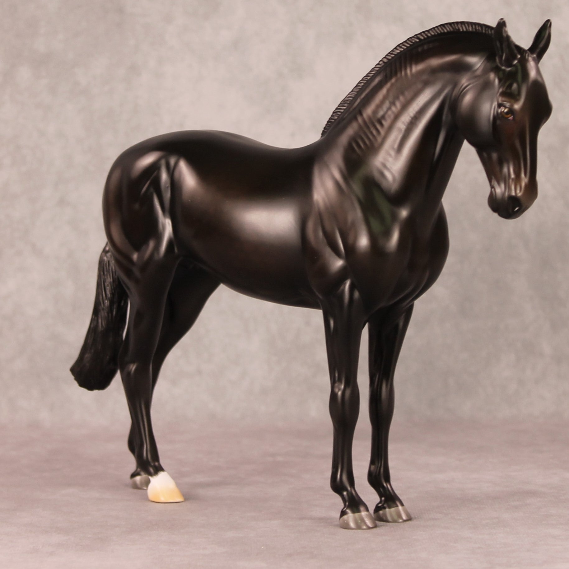 Kahlua OOAK Dappled Sunburnt Black Andalusian Mare By Ashley Palmer HS24