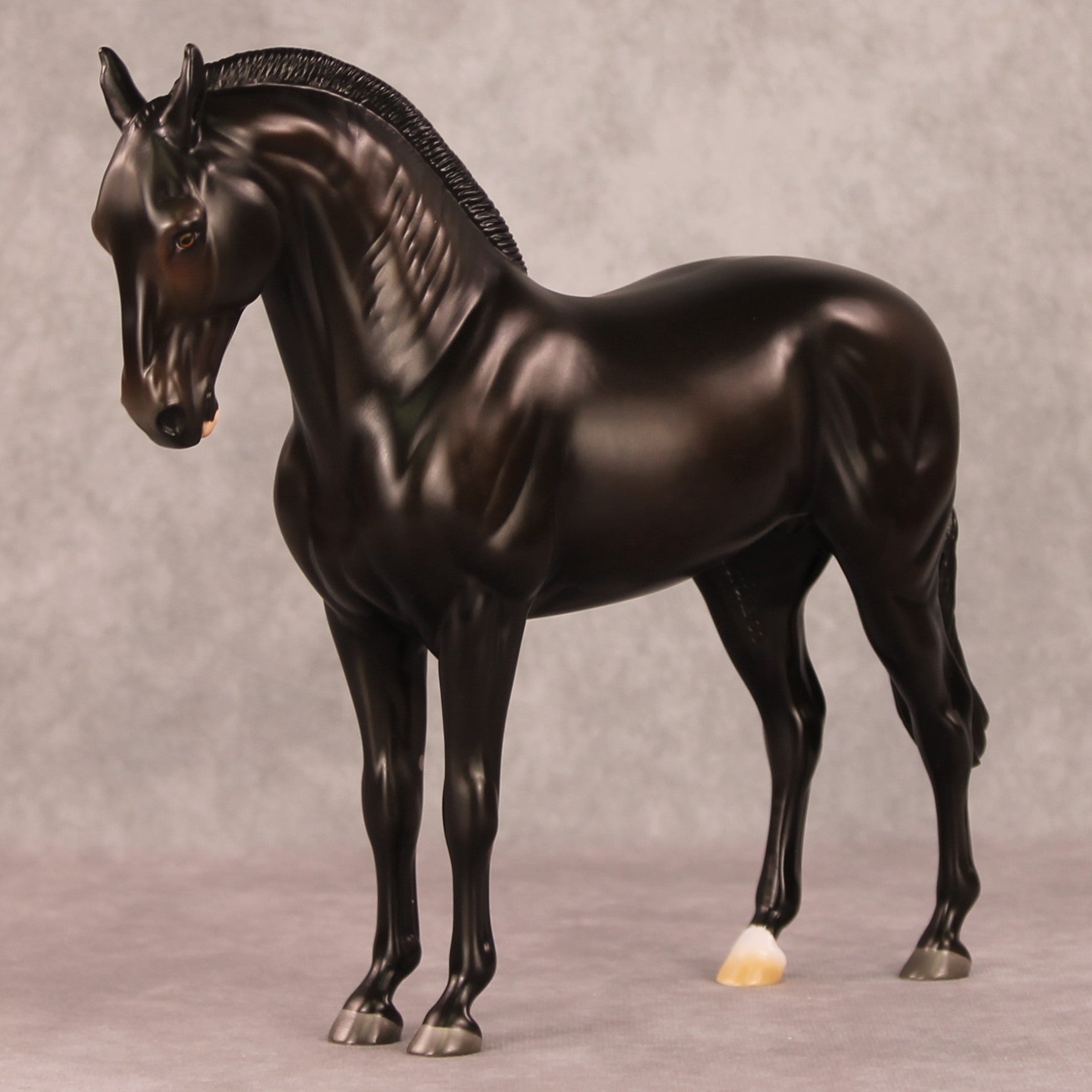 Kahlua OOAK Dappled Sunburnt Black Andalusian Mare By Ashley Palmer HS24