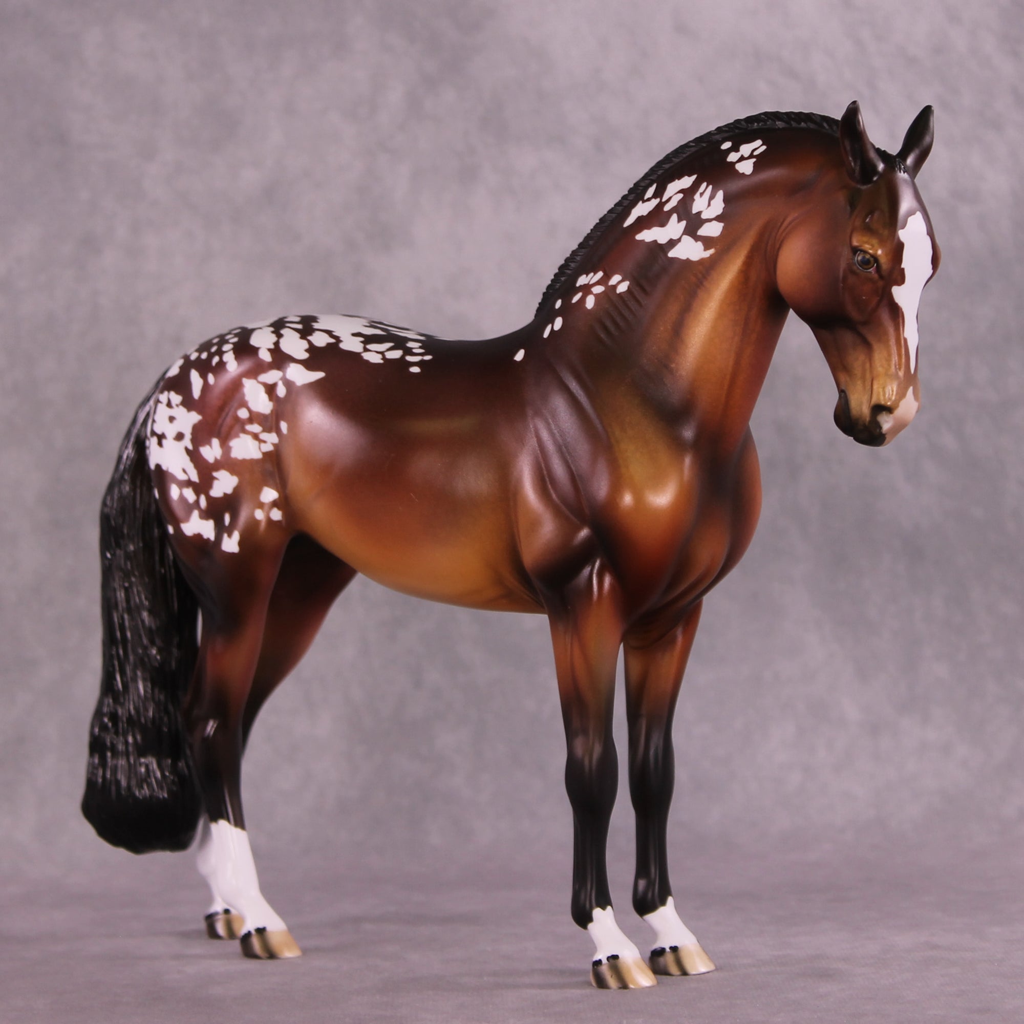 Lark OOAK Andalusian by Dawn Quick DDOOAKs25