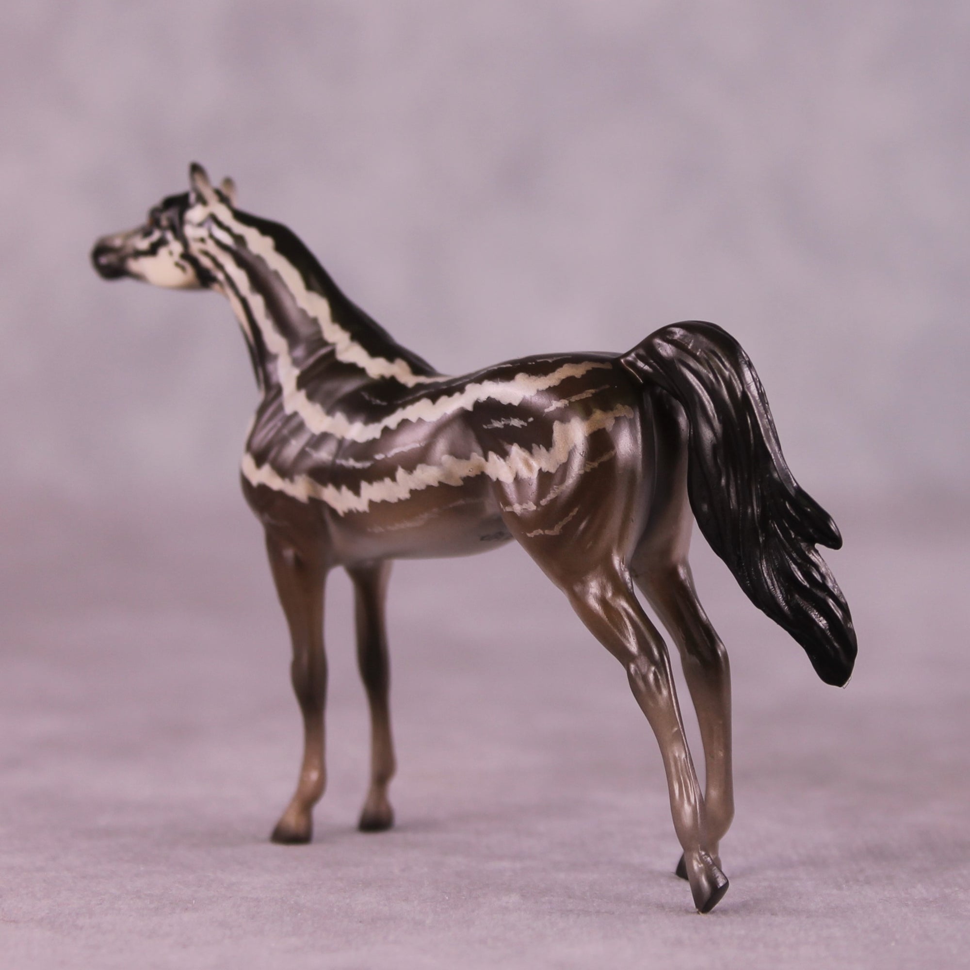 "Carinya" OOAK Arabian Chip by Jess Hamill MS25