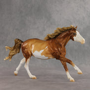 Bonnie Sue OOAK FCM Volo by Tegan Davis & The Stone Horses Team GS26