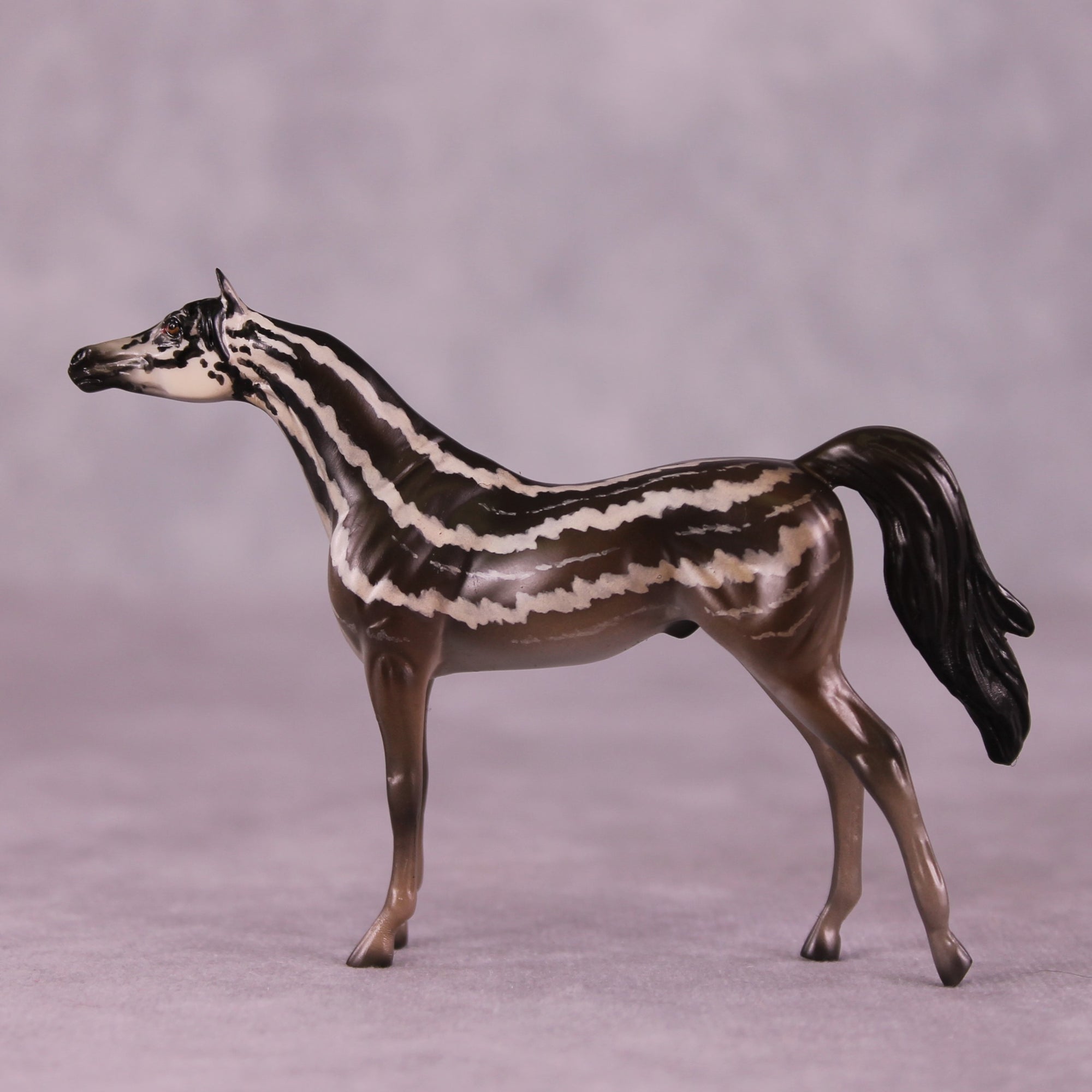 "Carinya" OOAK Arabian Chip by Jess Hamill MS25