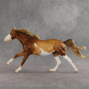 Bonnie Sue OOAK FCM Volo by Tegan Davis & The Stone Horses Team GS26
