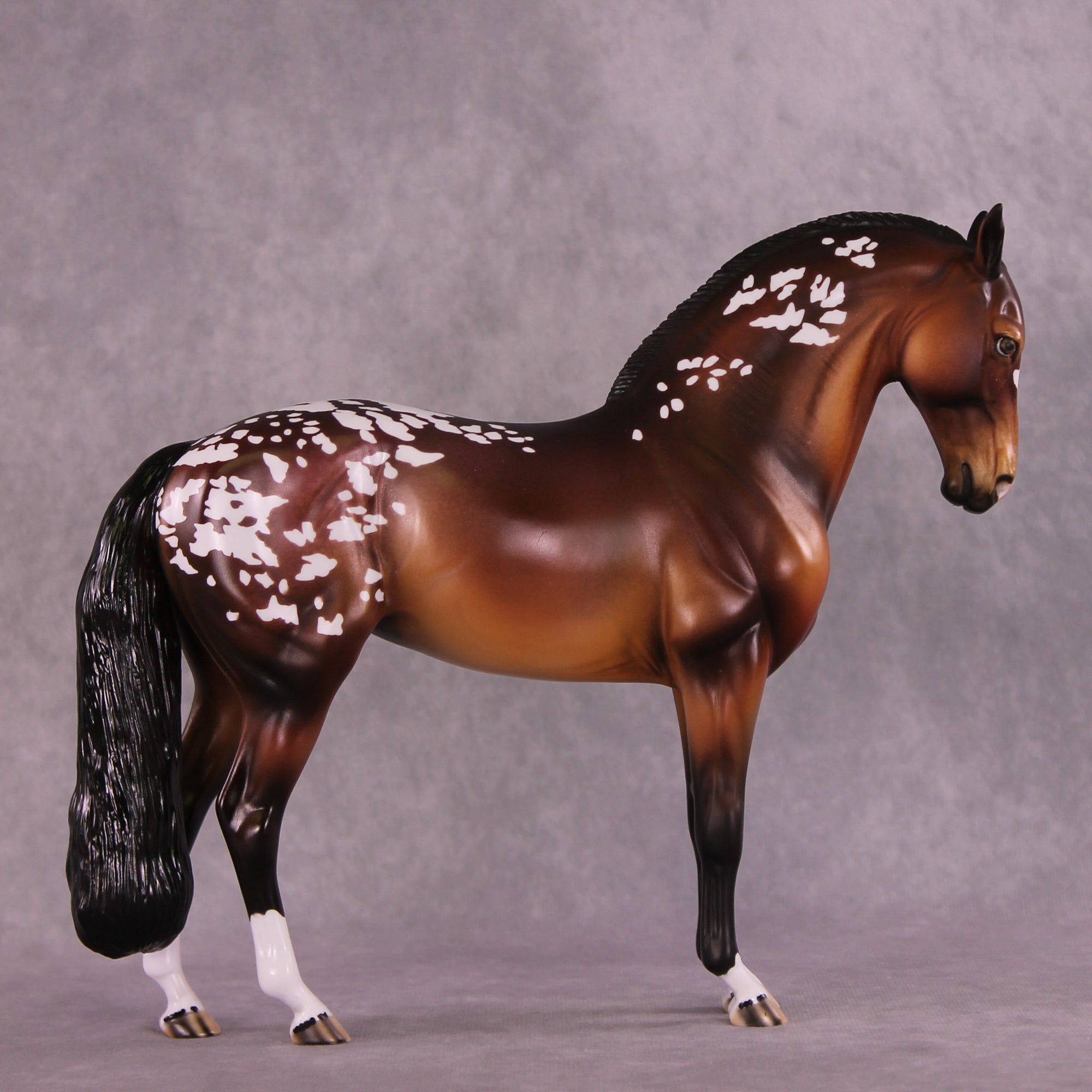 Lark OOAK Andalusian by Dawn Quick DDOOAKs25
