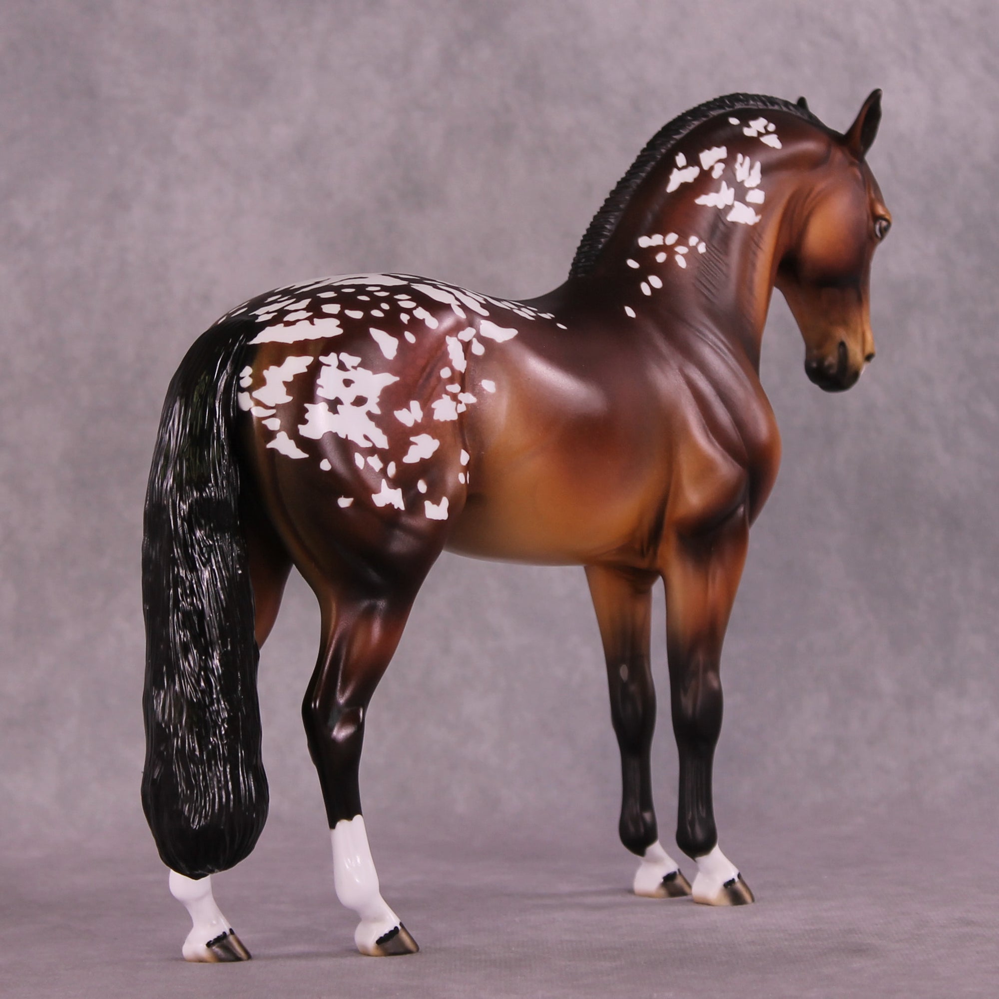 Lark OOAK Andalusian by Dawn Quick DDOOAKs25