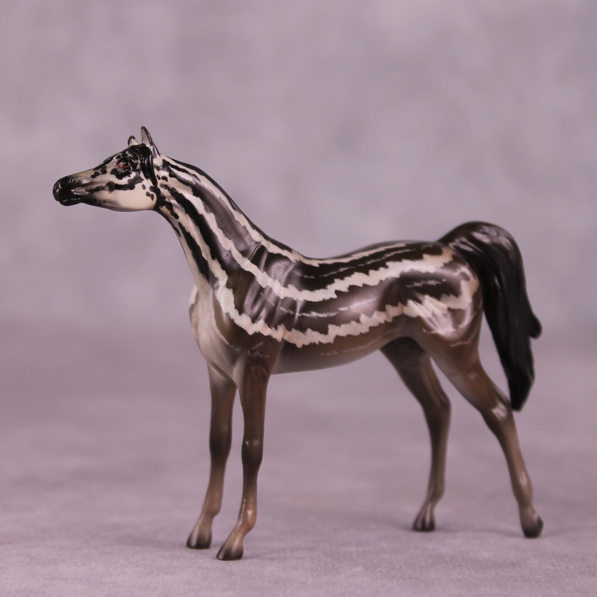 "Carinya" OOAK Arabian Chip by Jess Hamill MS25