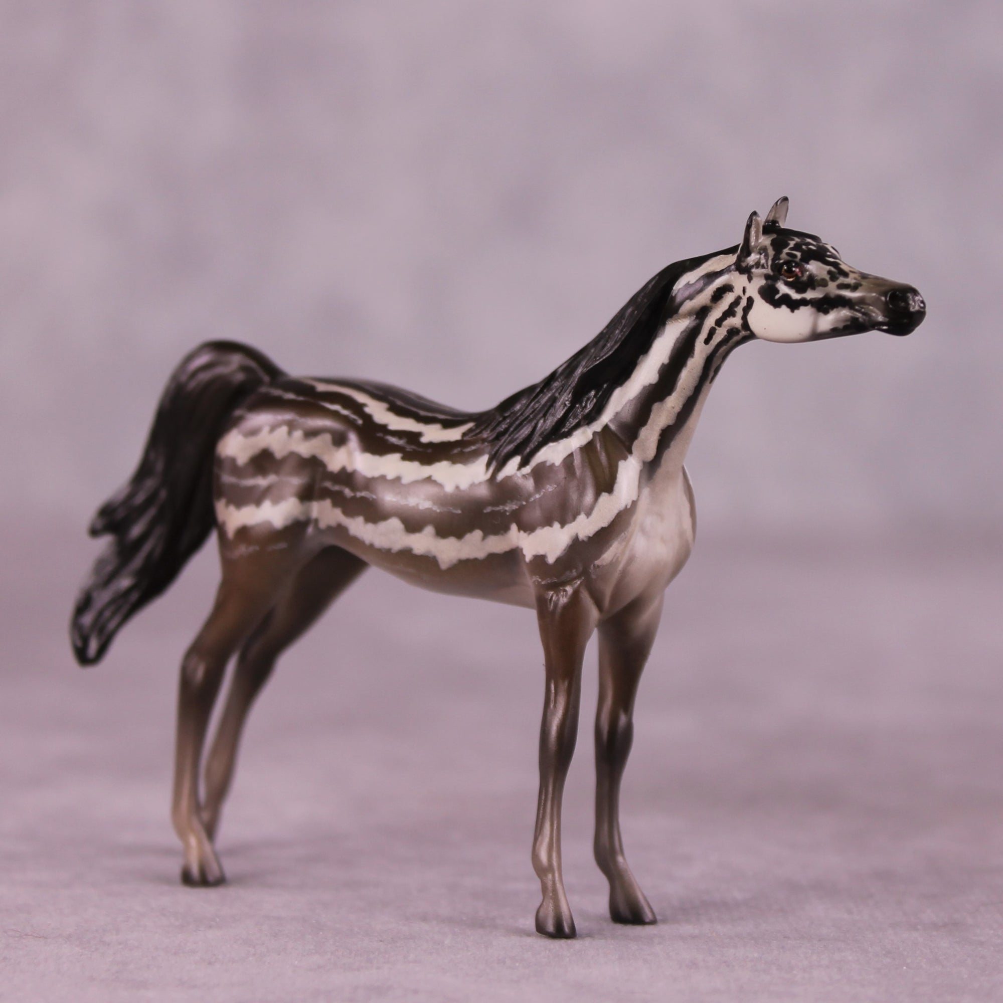"Carinya" OOAK Arabian Chip by Jess Hamill MS25