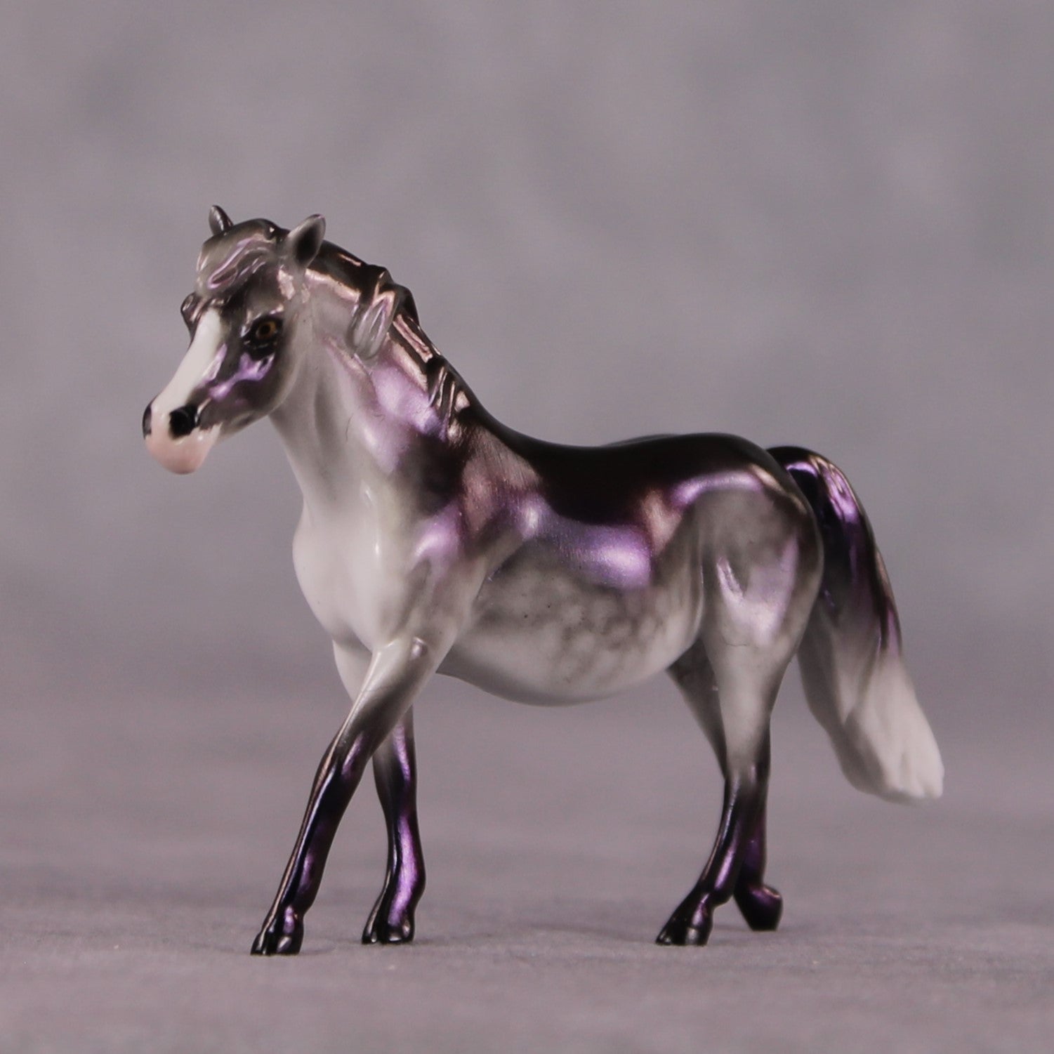 "Moxie" OOAK Pony Chip By Ellen Robbins SHCF25