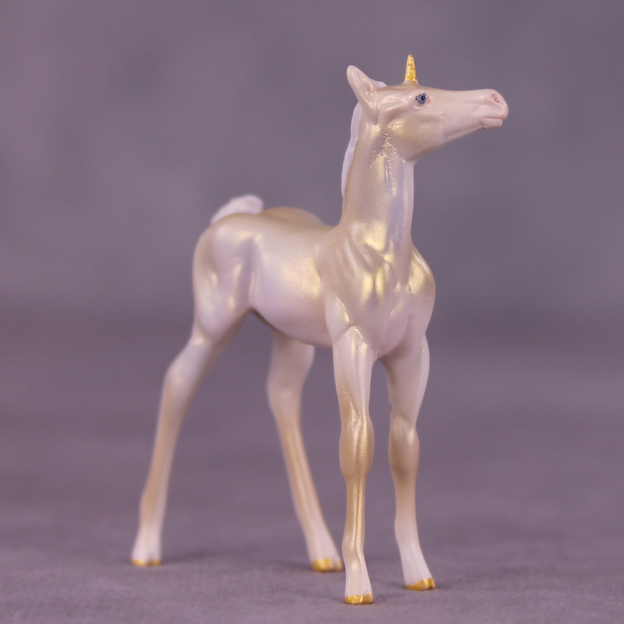 Little Legend OOAK FCM Chip Foal by Tiffany Purdy SS925