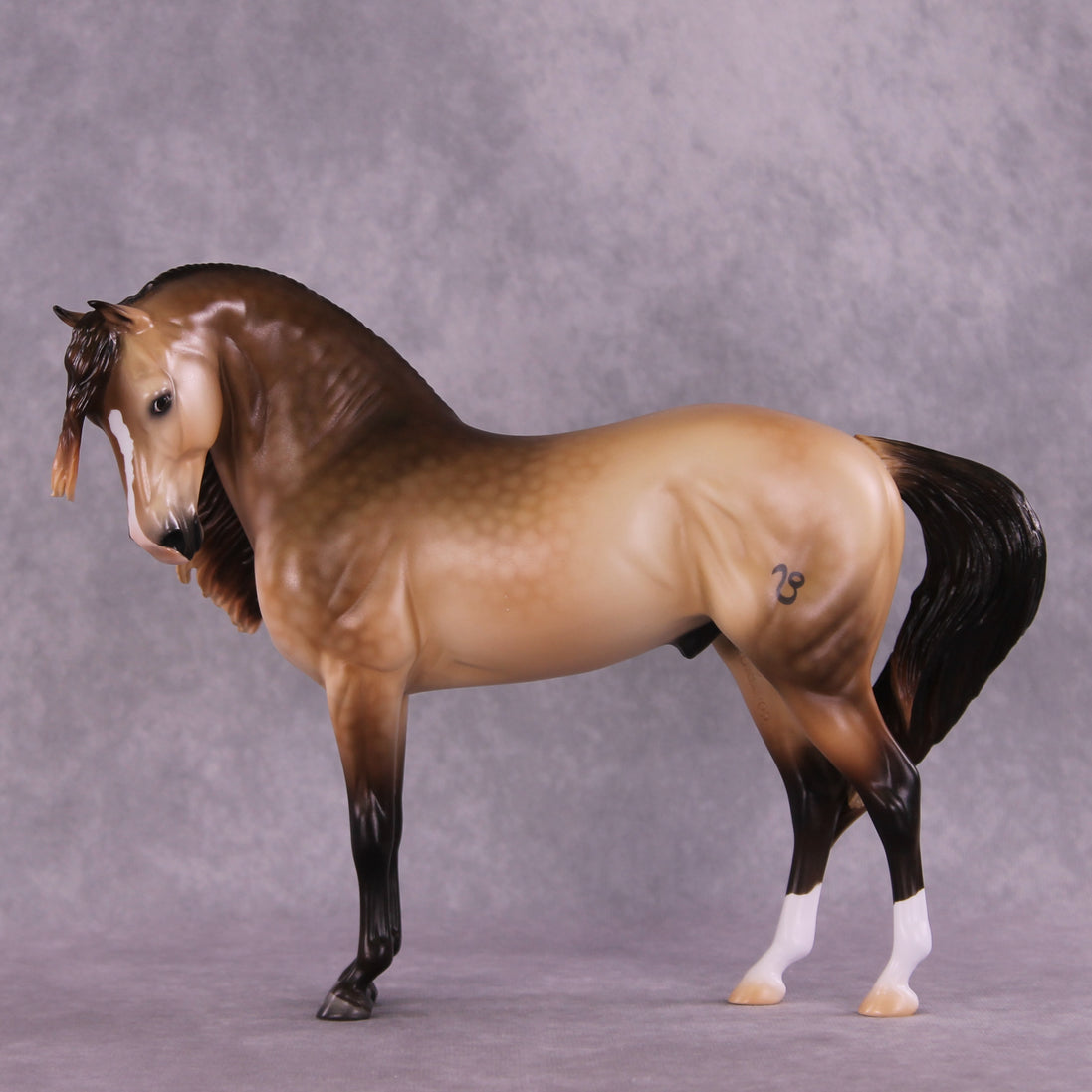"Regulus" LE-10 EFCM Andalusian by Ashley Palmer ZS25