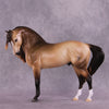 &quot;Regulus&quot; LE-10 EFCM Andalusian by Ashley Palmer ZS25