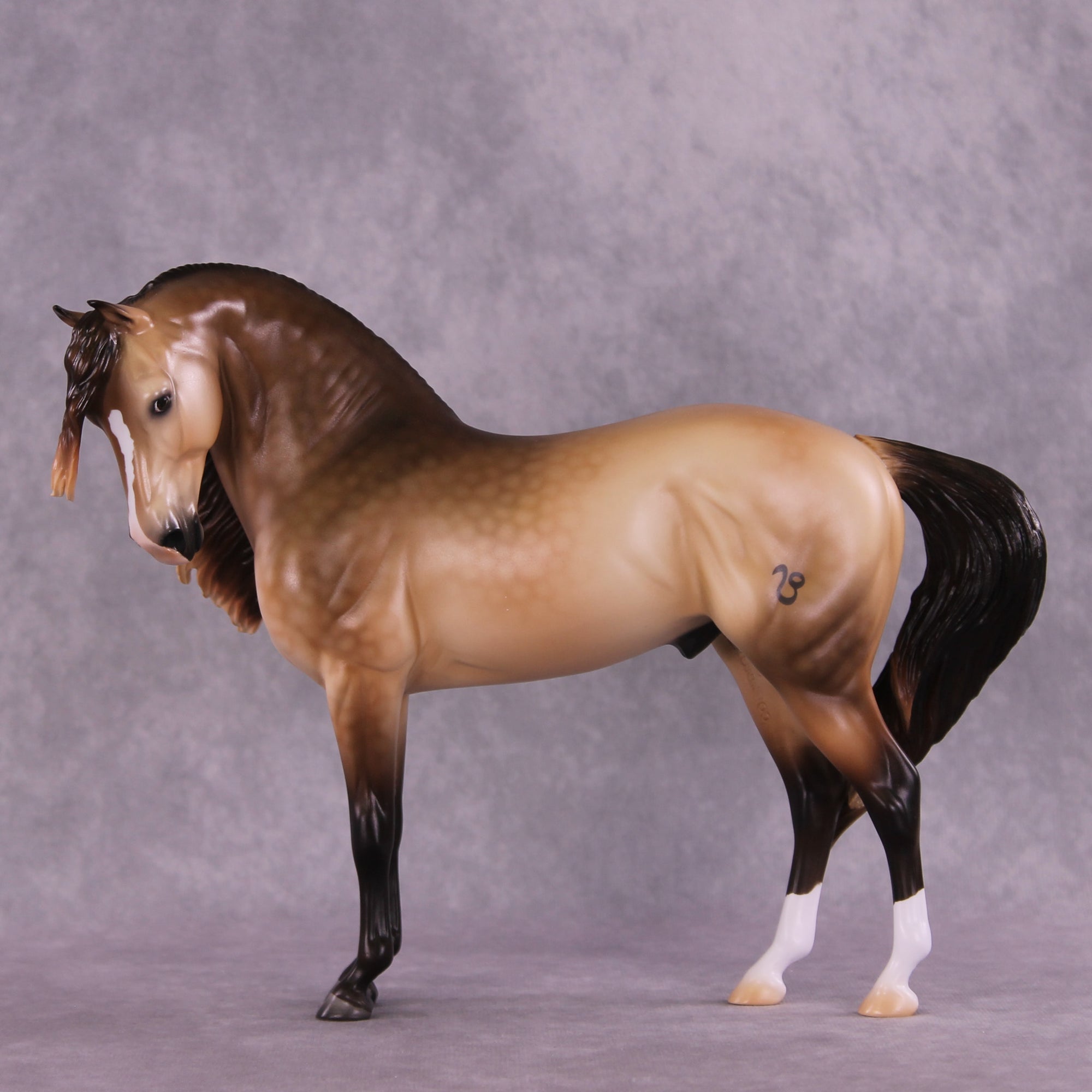 "Regulus" LE-10 EFCM Andalusian by Ashley Palmer ZS25