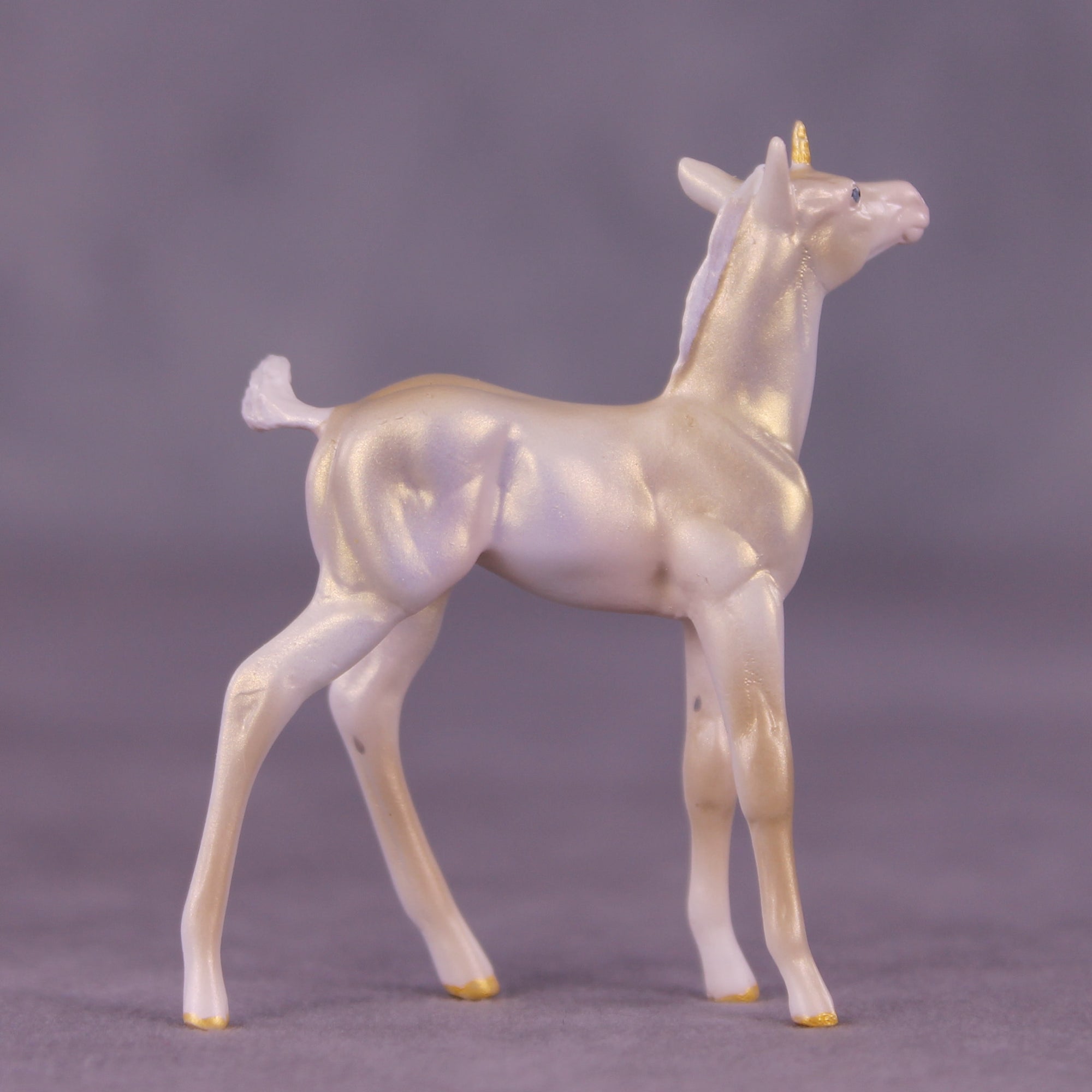 Little Legend OOAK FCM Chip Foal by Tiffany Purdy SS925