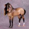 &quot;Regulus&quot; LE-10 EFCM Andalusian by Ashley Palmer ZS25