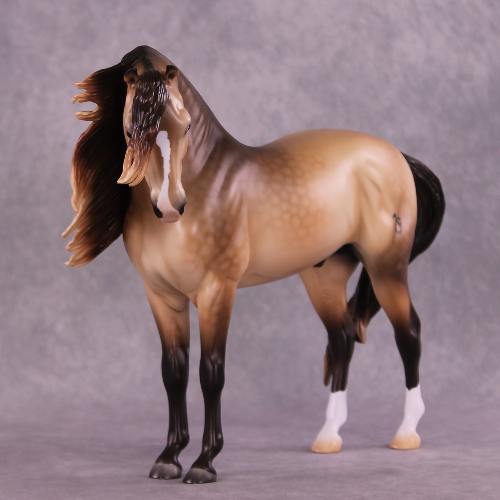 "Regulus" LE-10 EFCM Andalusian by Ashley Palmer ZS25