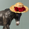 Barbara Ross SAMPLE Appaloosa Mule with Straw Hat By Julie Keim EQ24 Based on AotH Entry Digital Art From Hannah Goby SS1024