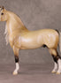 Frost Flower OOAK Dappled Silver Buckskin with Blue Interference Custom Morgan By Ellen Robbins HS24
