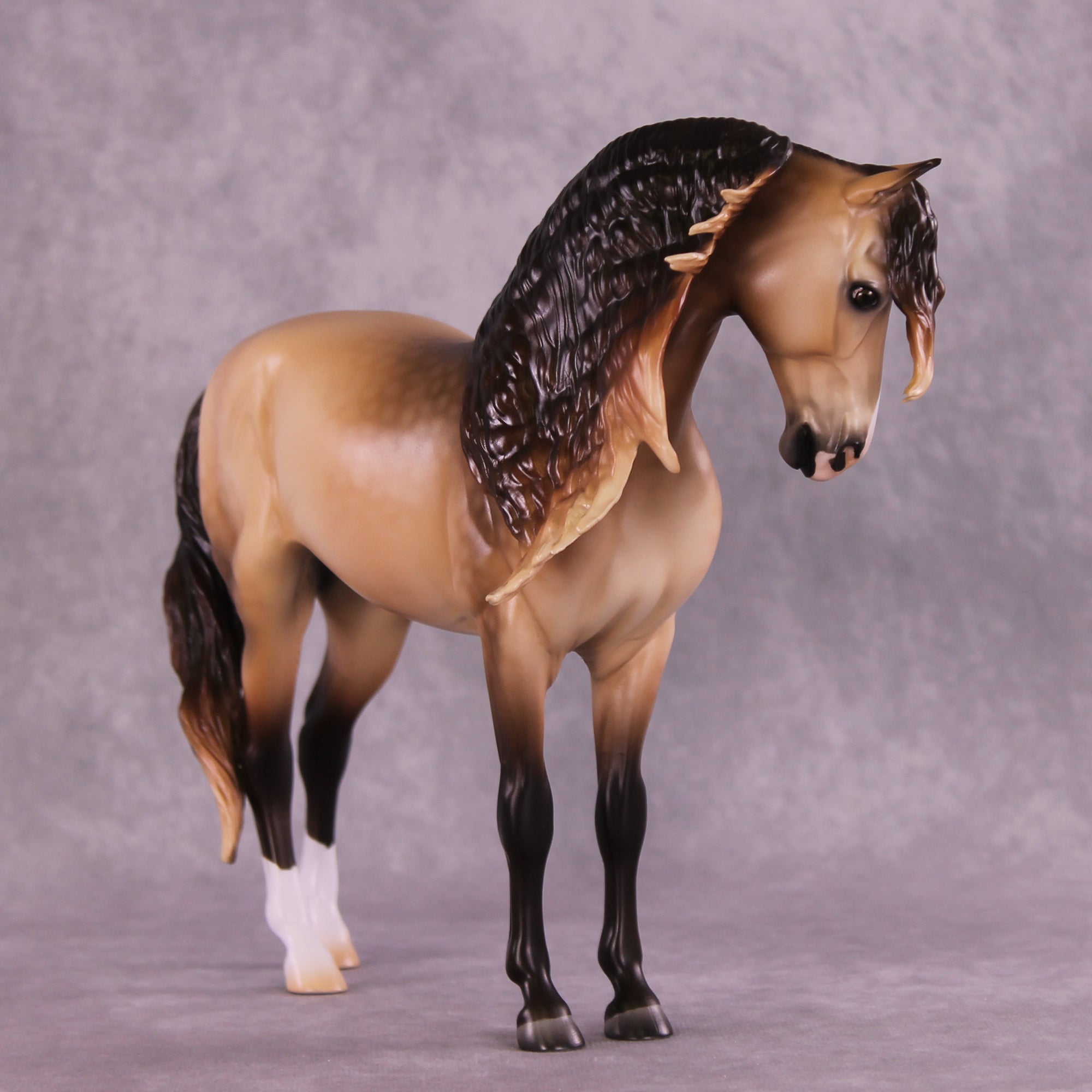 "Regulus" LE-10 EFCM Andalusian by Ashley Palmer ZS25