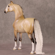 Frost Flower OOAK Dappled Silver Buckskin with Blue Interference Custom Morgan By Ellen Robbins HS24