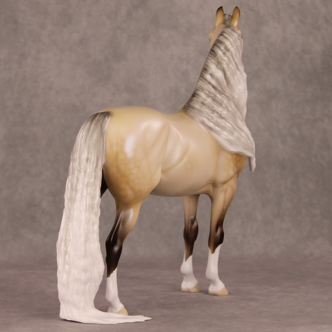 Frost Flower OOAK Dappled Silver Buckskin with Blue Interference Custom Morgan By Ellen Robbins HS24