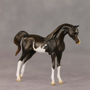 Windswirl OOAK EFCM Chip Arabian by Stephanie Blaylock & Melanie Miller GS26