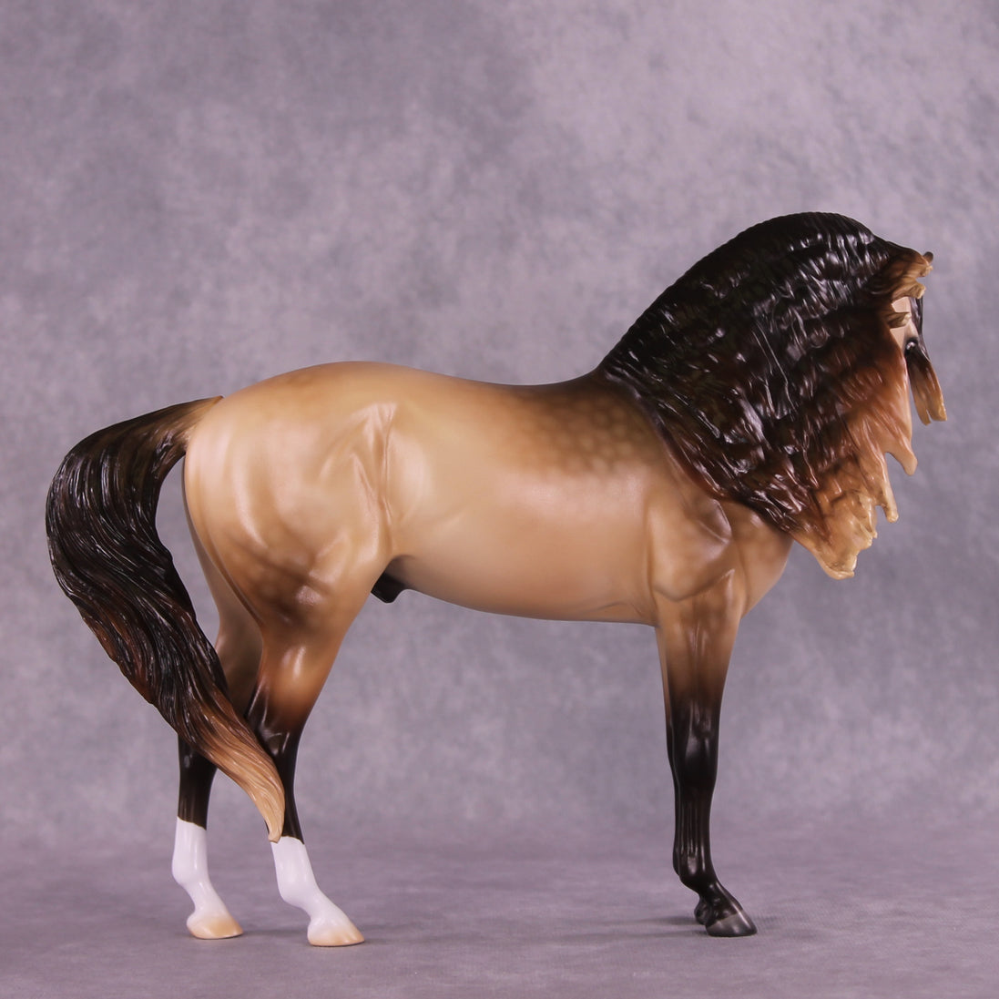 "Regulus" LE-10 EFCM Andalusian by Ashley Palmer ZS25