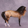 &quot;Regulus&quot; LE-10 EFCM Andalusian by Ashley Palmer ZS25