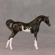 Windswirl OOAK EFCM Chip Arabian by Stephanie Blaylock & Melanie Miller GS26