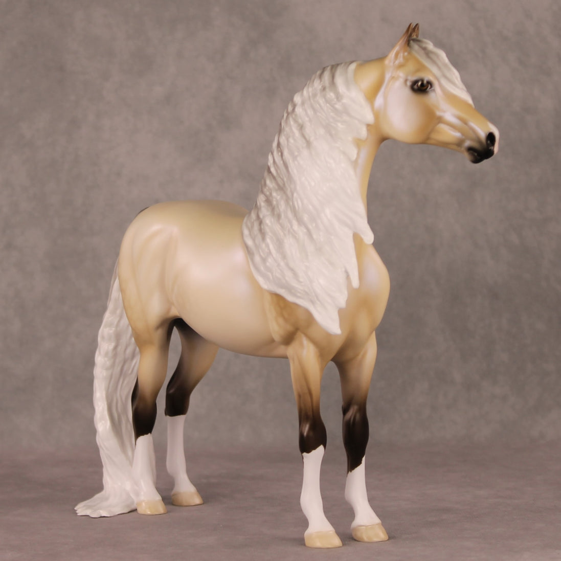 Frost Flower OOAK Dappled Silver Buckskin with Blue Interference Custom Morgan By Ellen Robbins HS24
