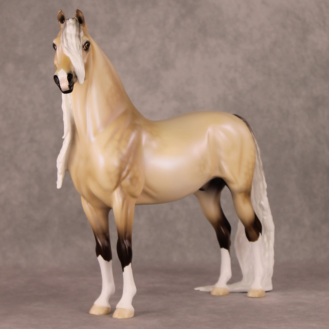 Frost Flower OOAK Dappled Silver Buckskin with Blue Interference Custom Morgan By Ellen Robbins HS24