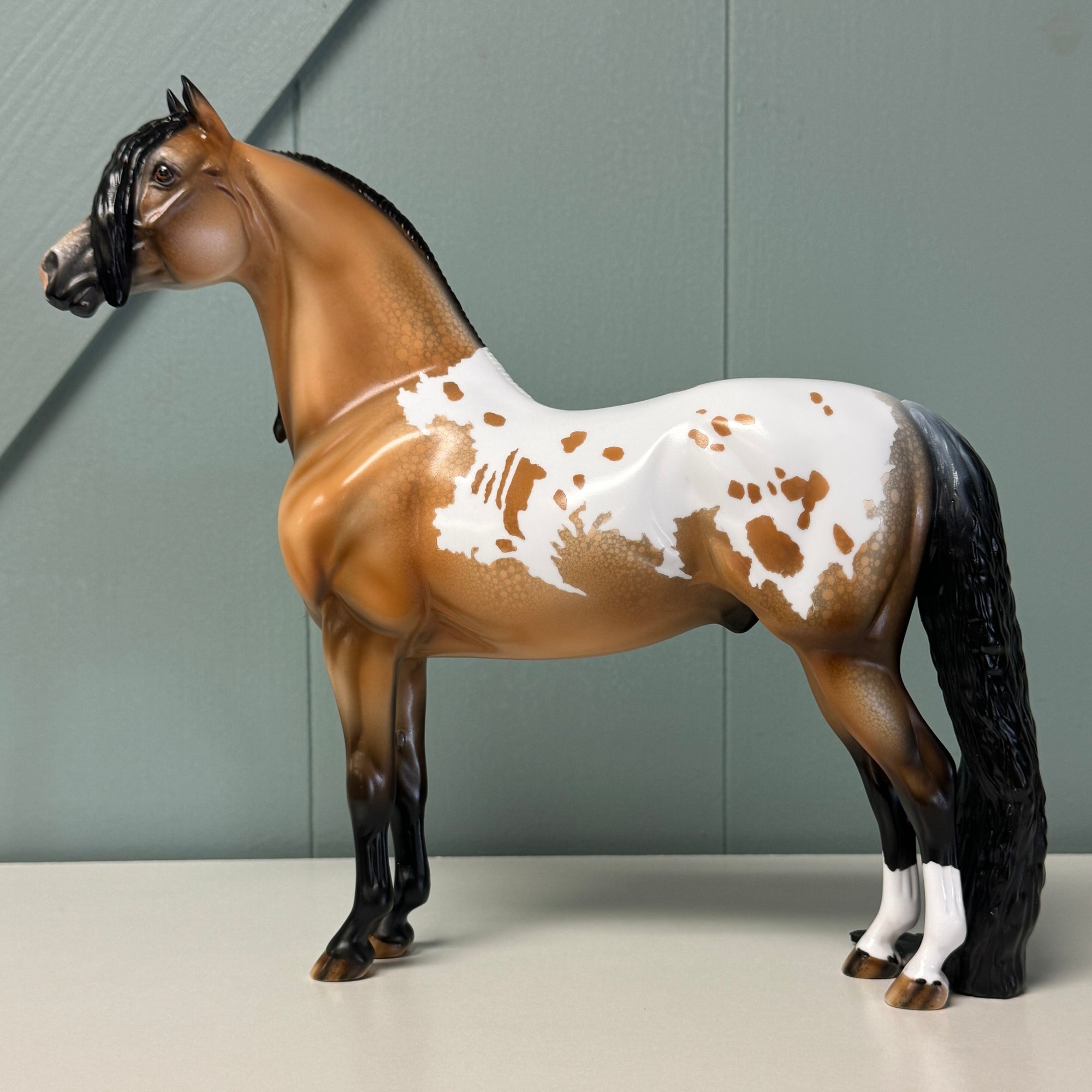 Afficere OOAK Buckskin Appaloosa Morgan By Dawn Quick EQ24