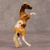 William OOAK Chestnut Pinto Rearing Chip By Jamie Adamson HS24