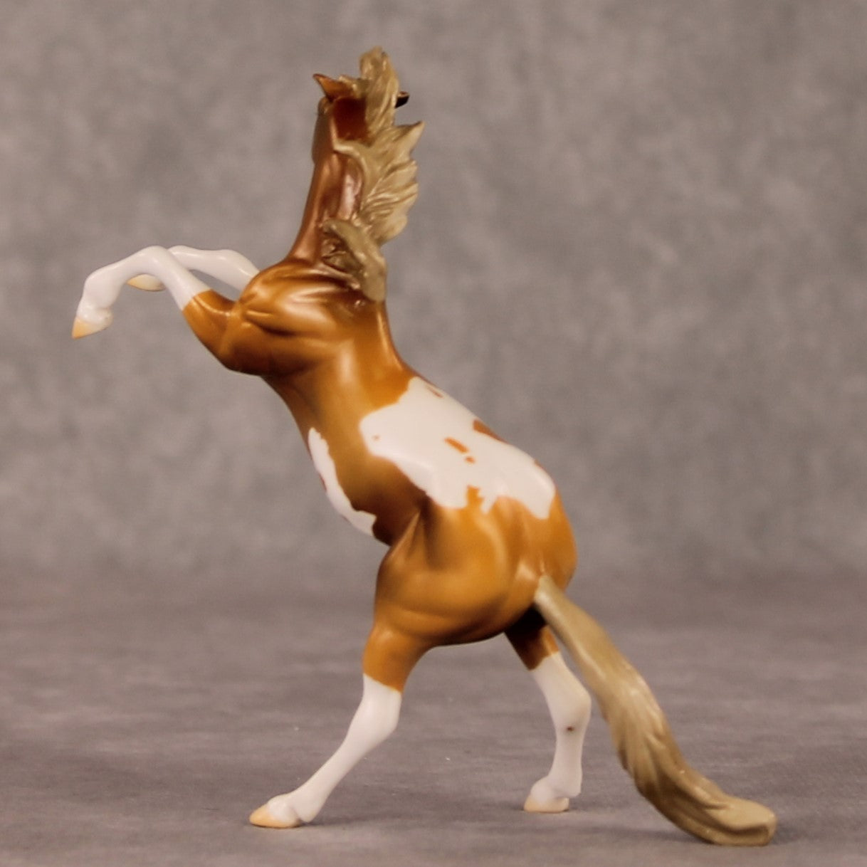 William OOAK Chestnut Pinto Rearing Chip By Jamie Adamson HS24