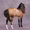 &quot;Regulus&quot; LE-10 EFCM Andalusian by Ashley Palmer ZS25